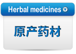 原产药材